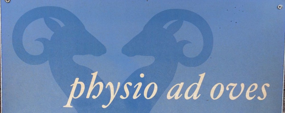 Logo Physio ad Oves .jpg